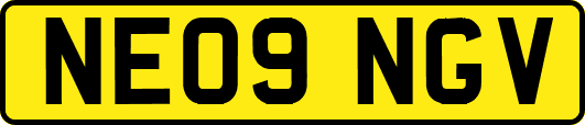 NE09NGV