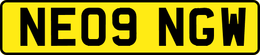 NE09NGW