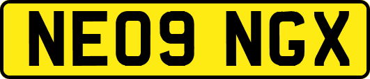 NE09NGX