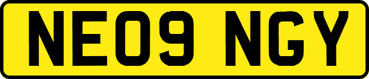NE09NGY