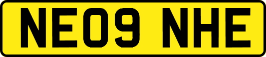NE09NHE