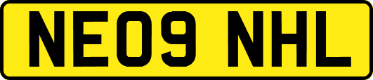 NE09NHL