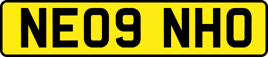 NE09NHO