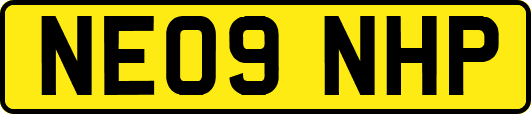 NE09NHP