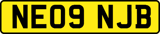 NE09NJB