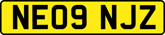 NE09NJZ