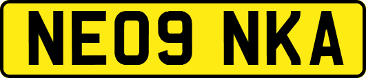 NE09NKA
