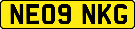NE09NKG