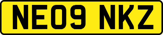 NE09NKZ