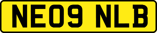 NE09NLB