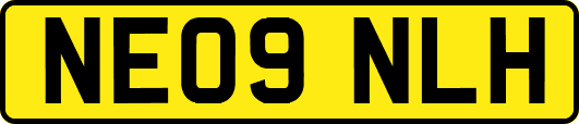 NE09NLH