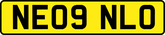 NE09NLO
