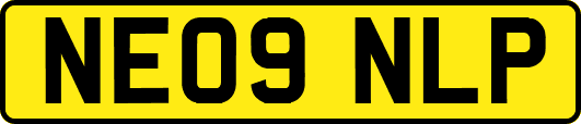 NE09NLP