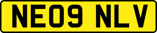 NE09NLV