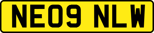 NE09NLW