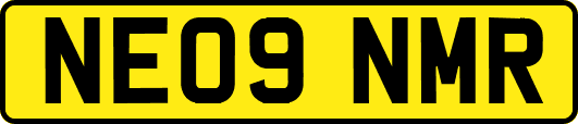 NE09NMR