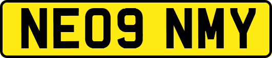 NE09NMY