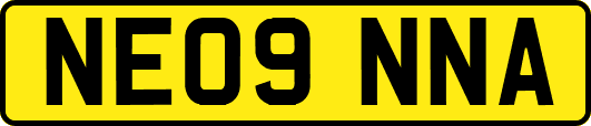 NE09NNA