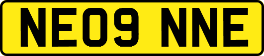 NE09NNE