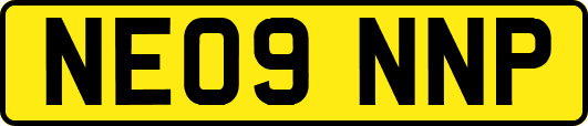 NE09NNP