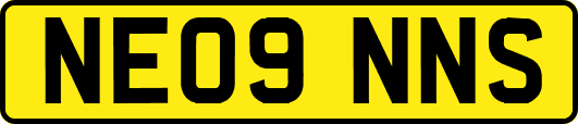 NE09NNS