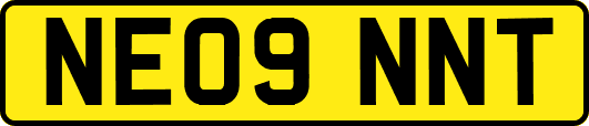 NE09NNT