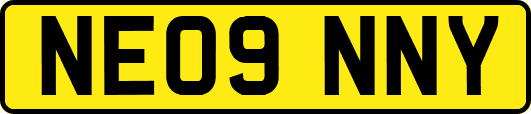 NE09NNY
