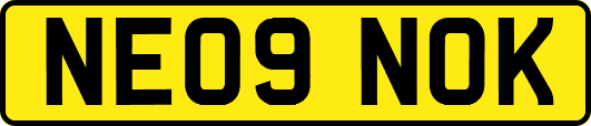 NE09NOK