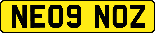 NE09NOZ