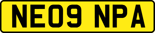 NE09NPA