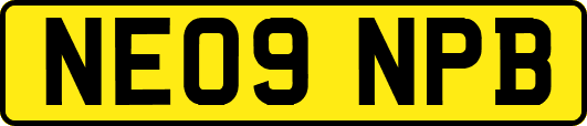NE09NPB