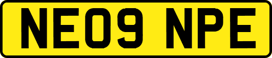 NE09NPE