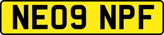 NE09NPF