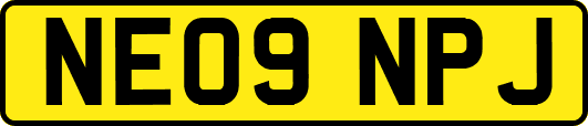 NE09NPJ