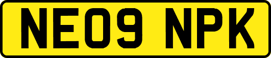 NE09NPK