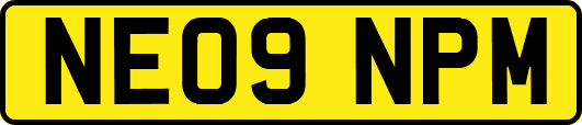 NE09NPM