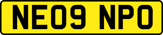 NE09NPO