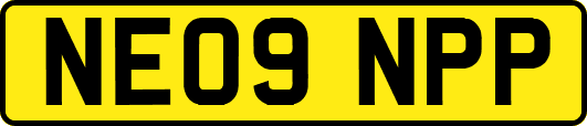 NE09NPP