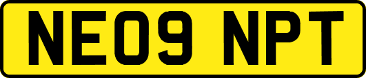 NE09NPT