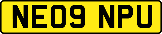 NE09NPU