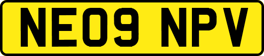 NE09NPV