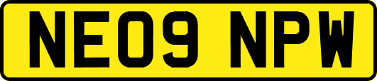 NE09NPW
