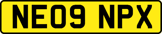 NE09NPX
