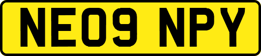 NE09NPY