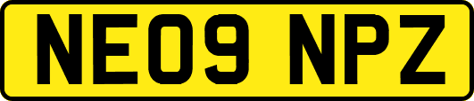 NE09NPZ