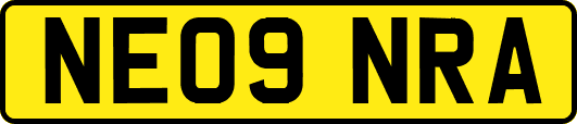 NE09NRA