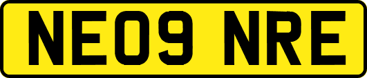 NE09NRE