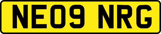 NE09NRG