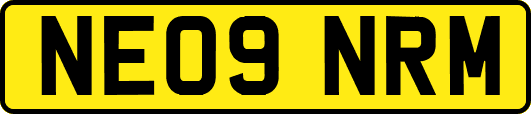 NE09NRM