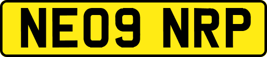 NE09NRP